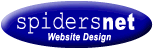 spidersnet web solutions for business